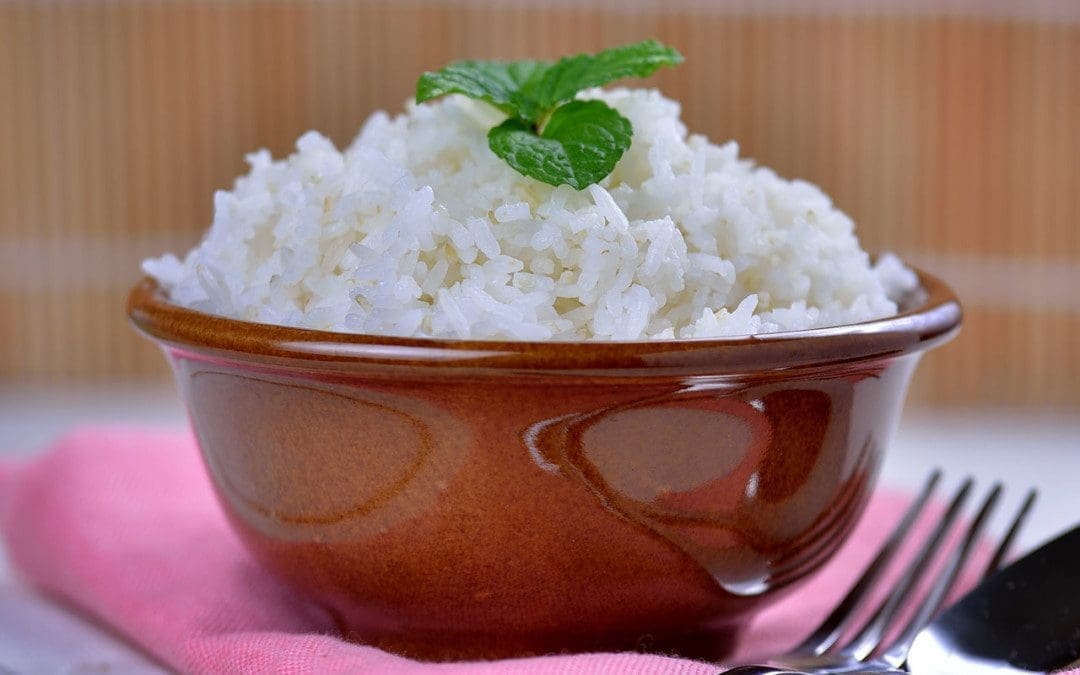 Easily Digestible Foods