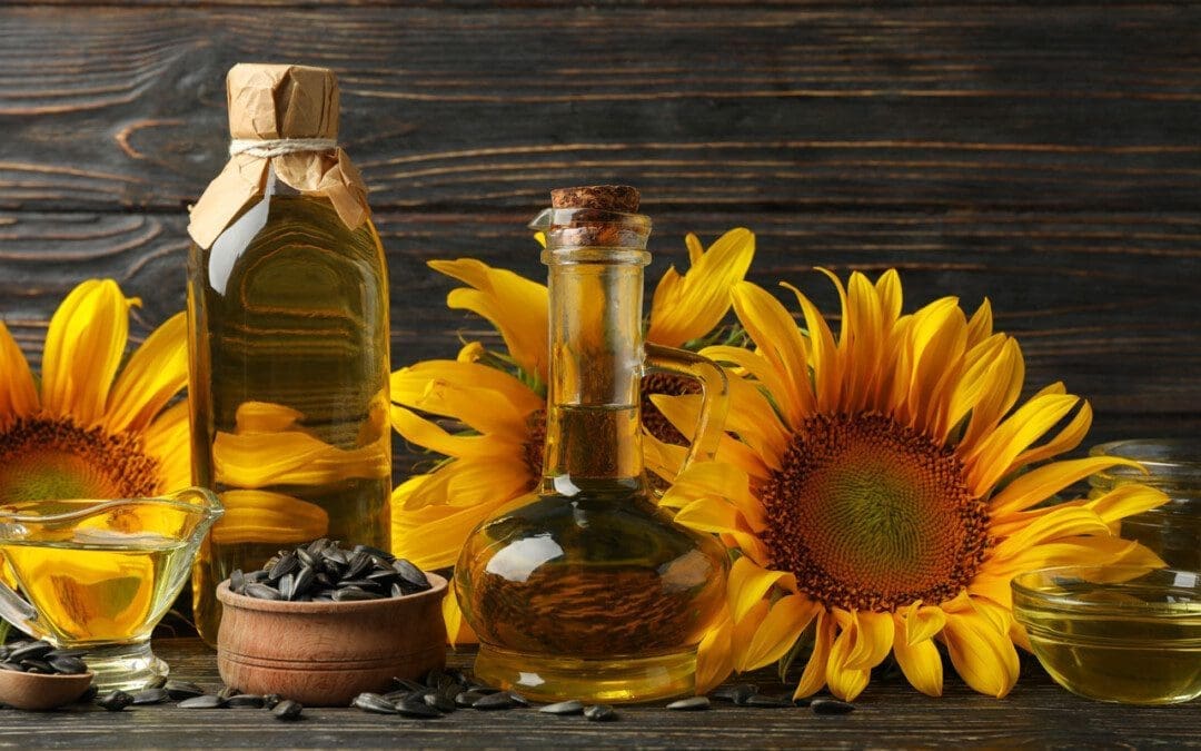A Nutritional Overview of Sunflower Seeds