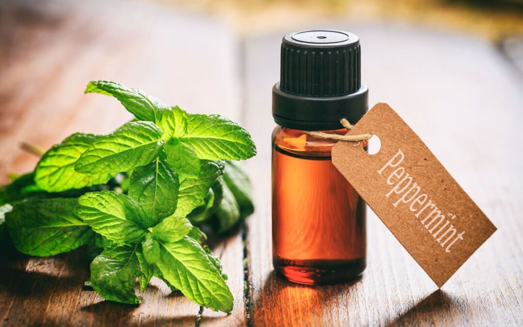 Peppermint: A Natural Remedy for Irritable Bowel Syndrome