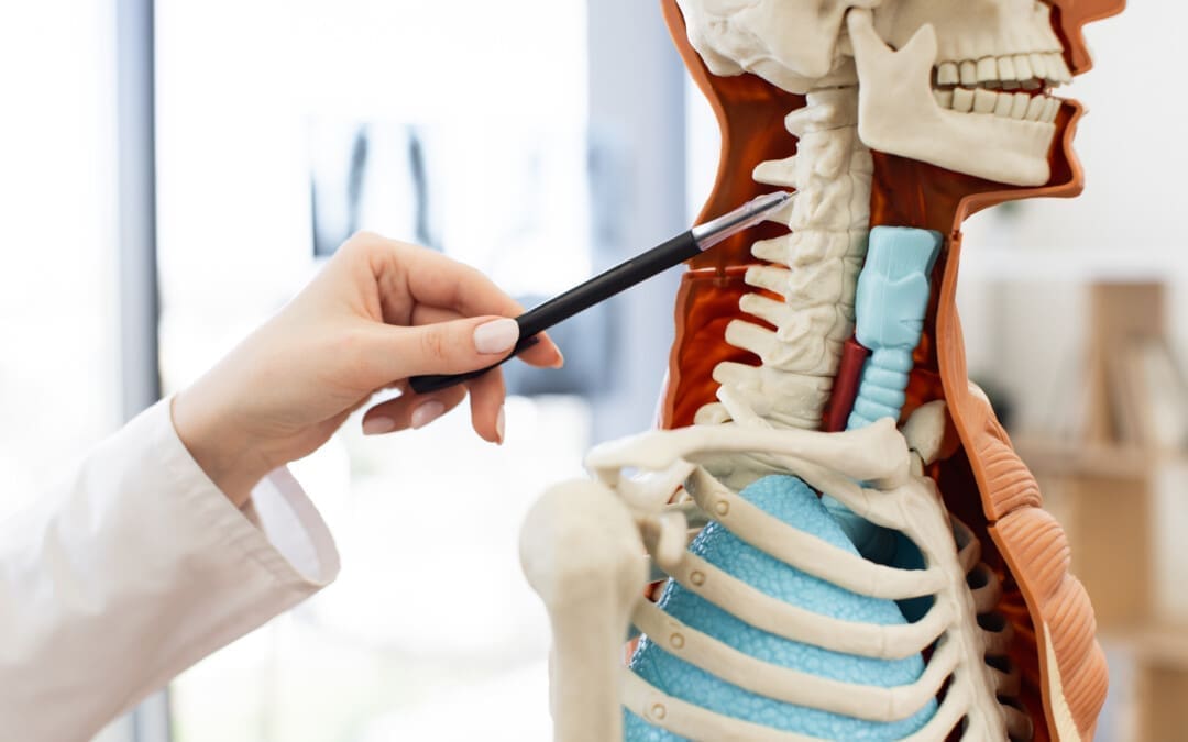 Musculoskeletal Ligaments, Automobile Accidents, and Treatment
